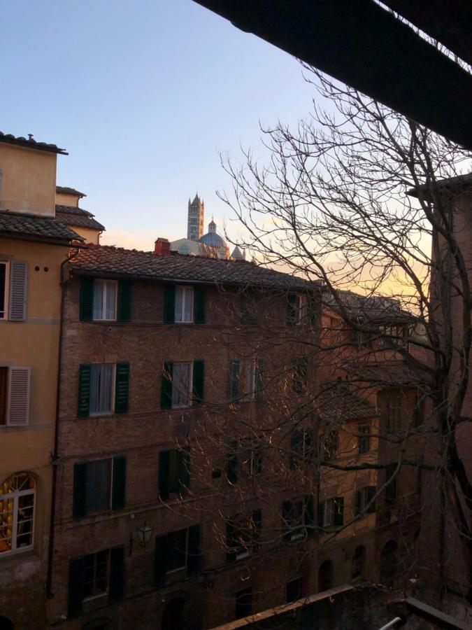 Teresa 91, Appartamento Incantevole Vista Duomo เซียนา ภายนอก รูปภาพ